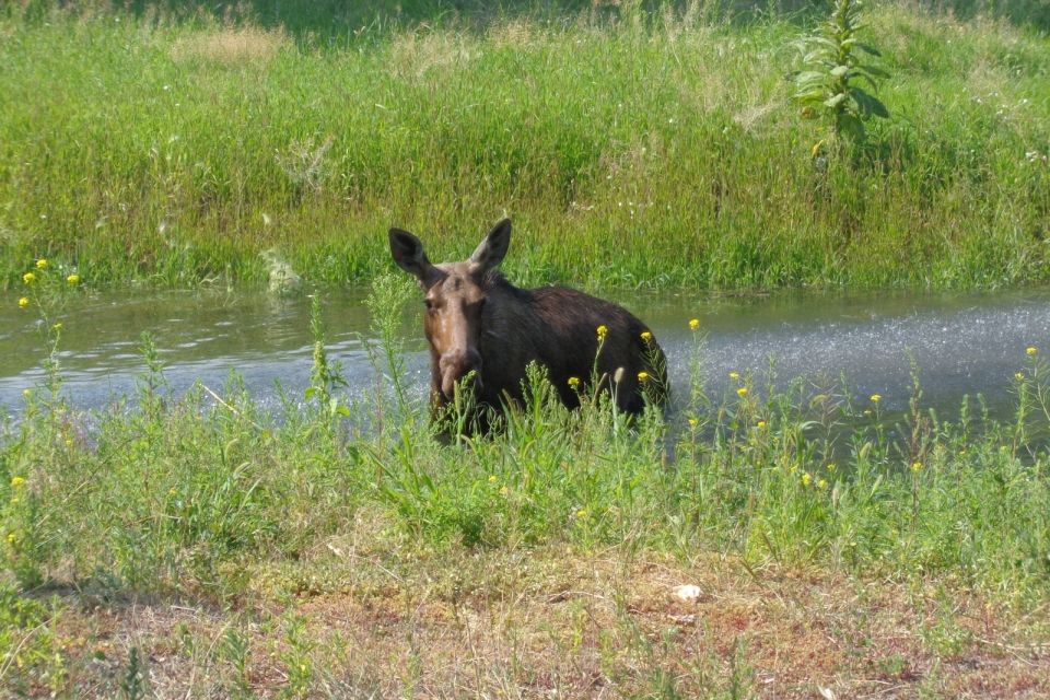 DSC00507