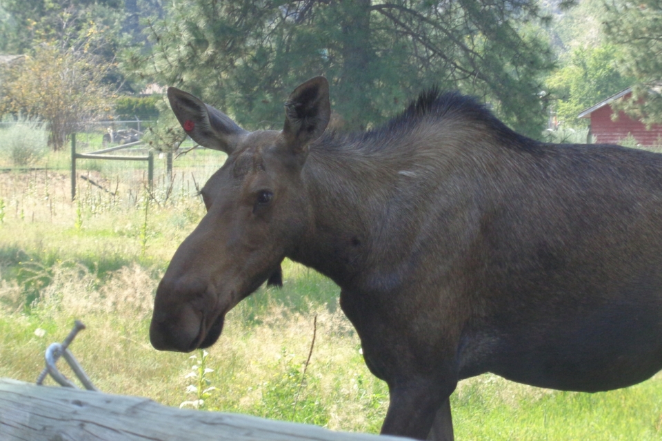 DSC00508