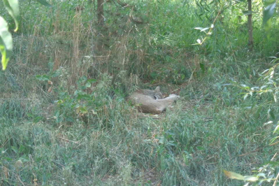 DSC00510