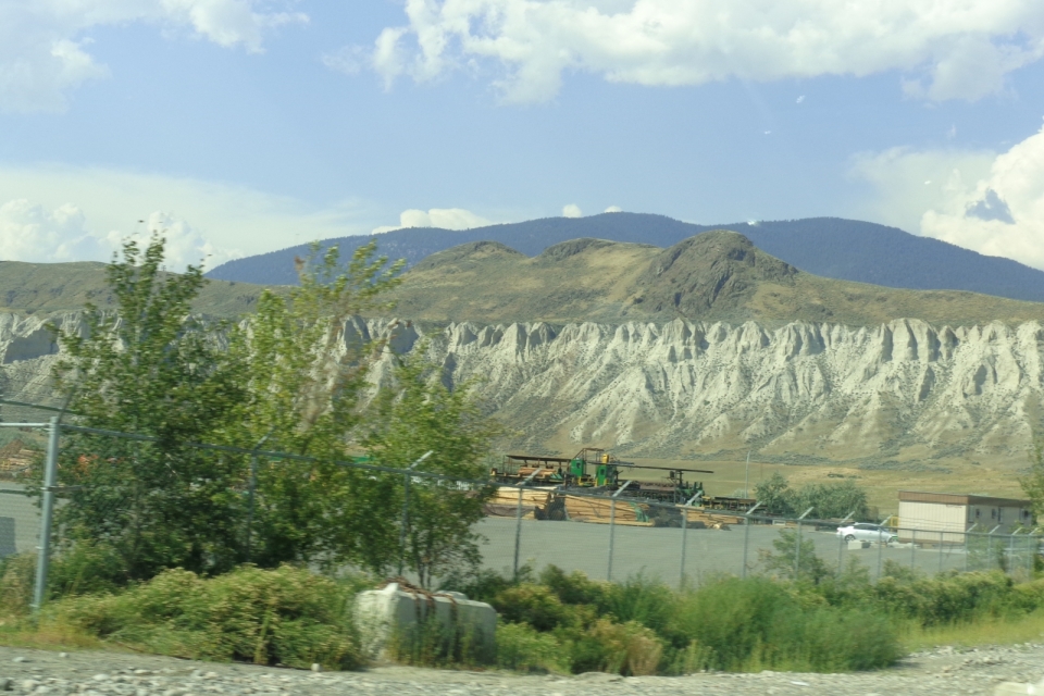 DSC00515