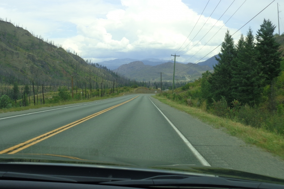 DSC00520