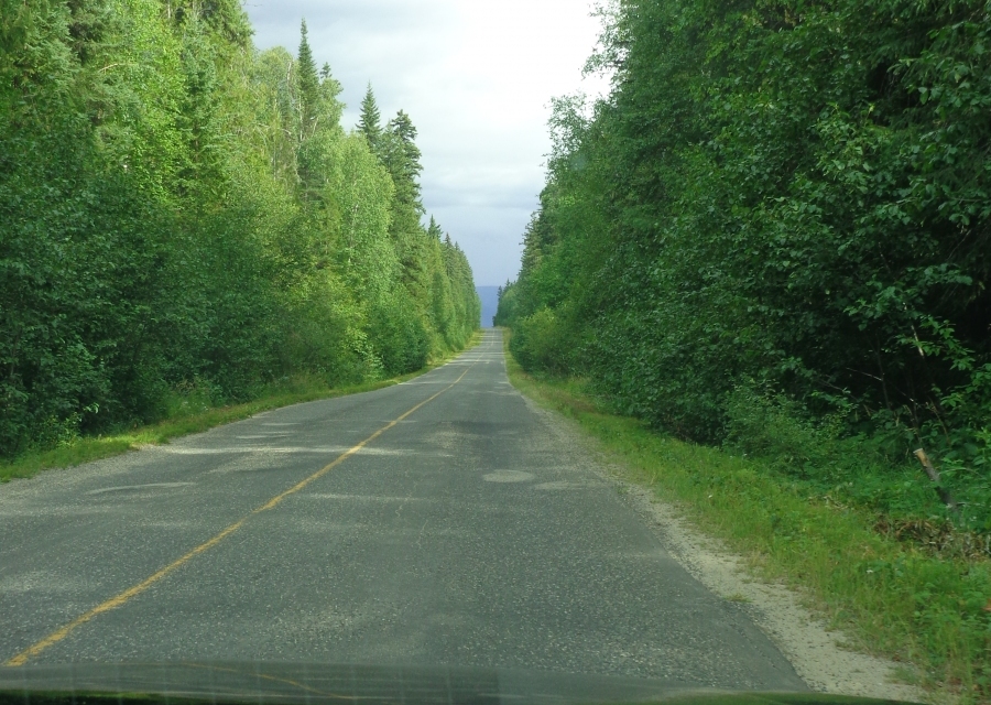 DSC00550