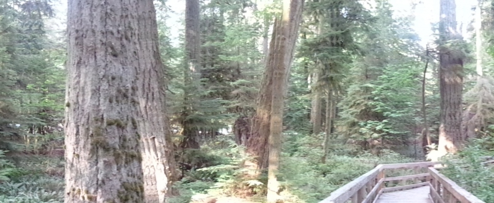 DSC00956