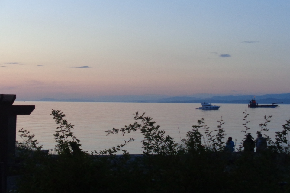 DSC00971