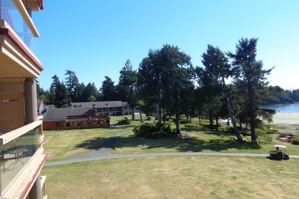 DSC01020