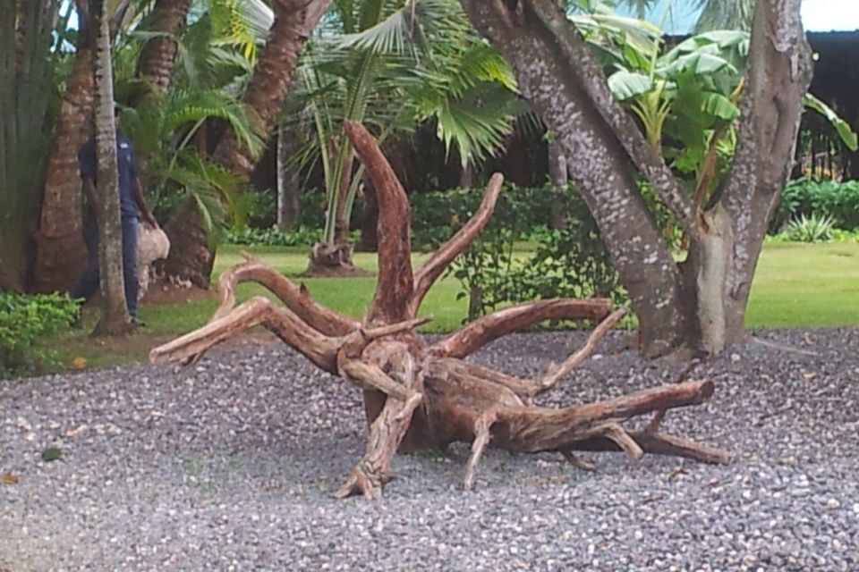 20140822_111805