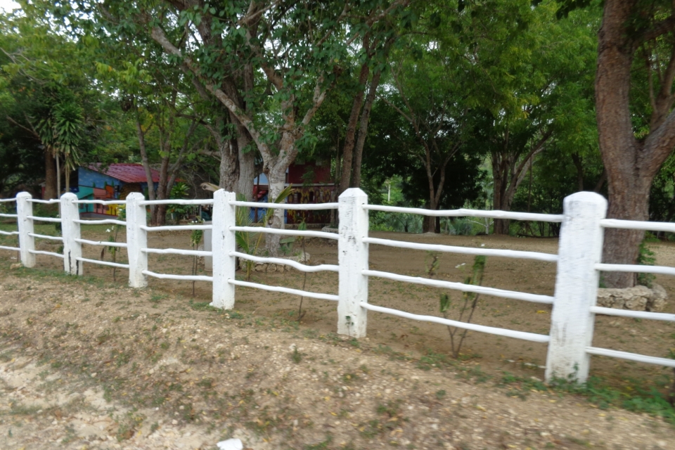 DSC00279