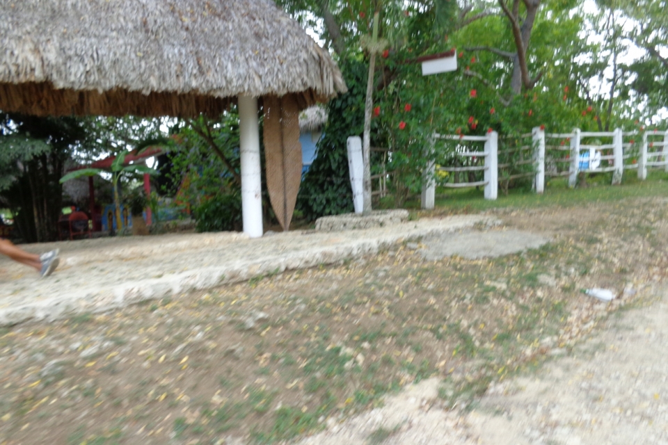 DSC00280