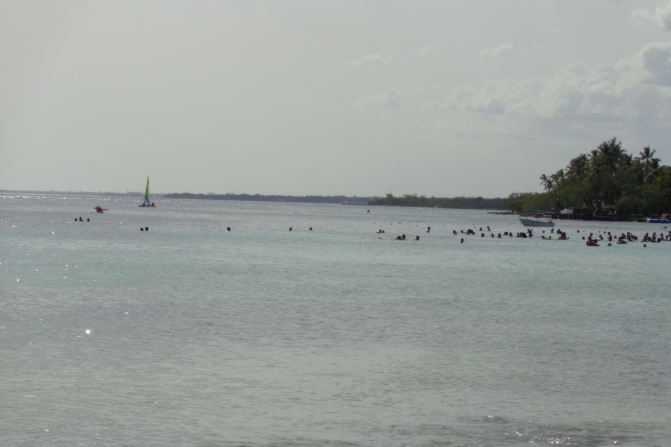 DSC00317