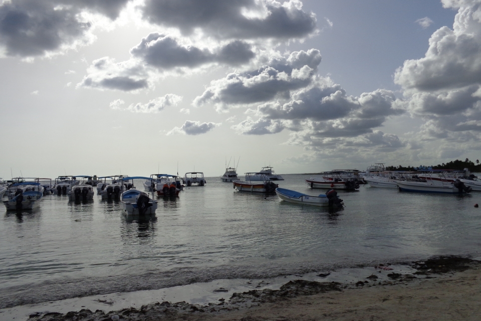 DSC00319
