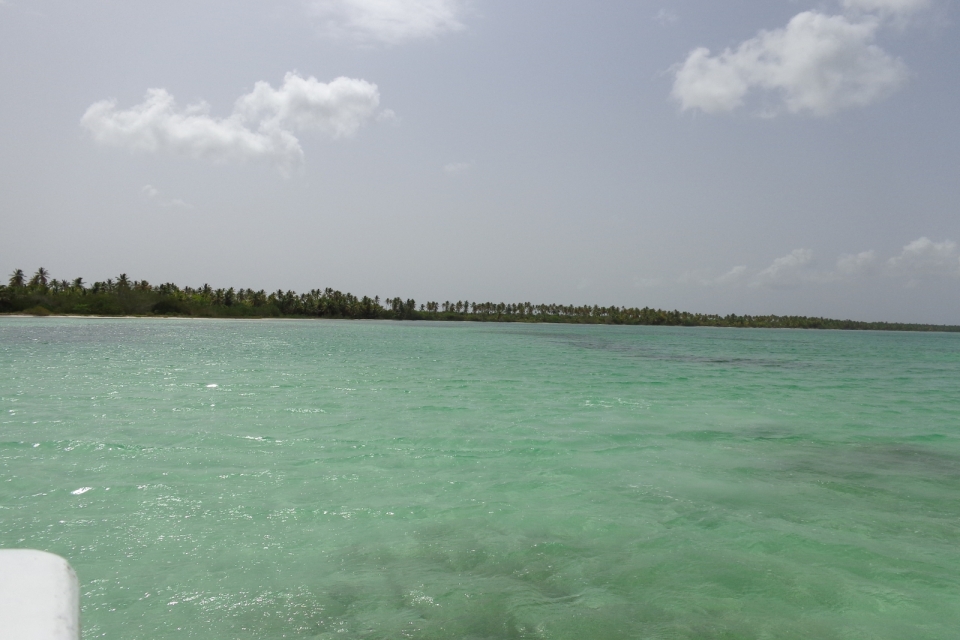 DSC00346