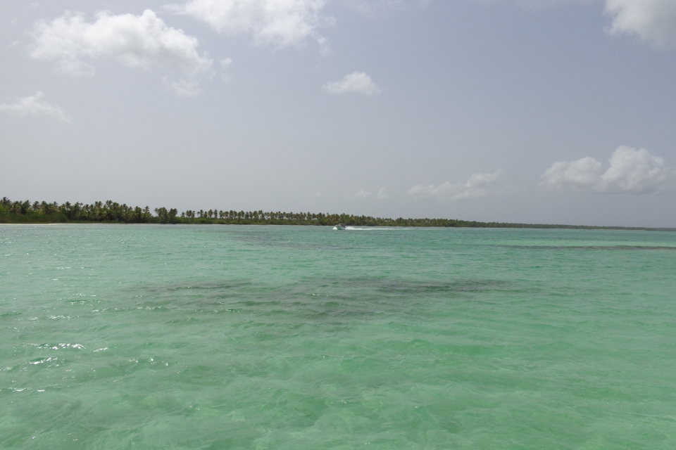 DSC00351