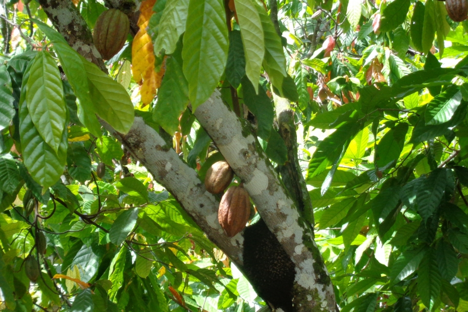 DSC00453