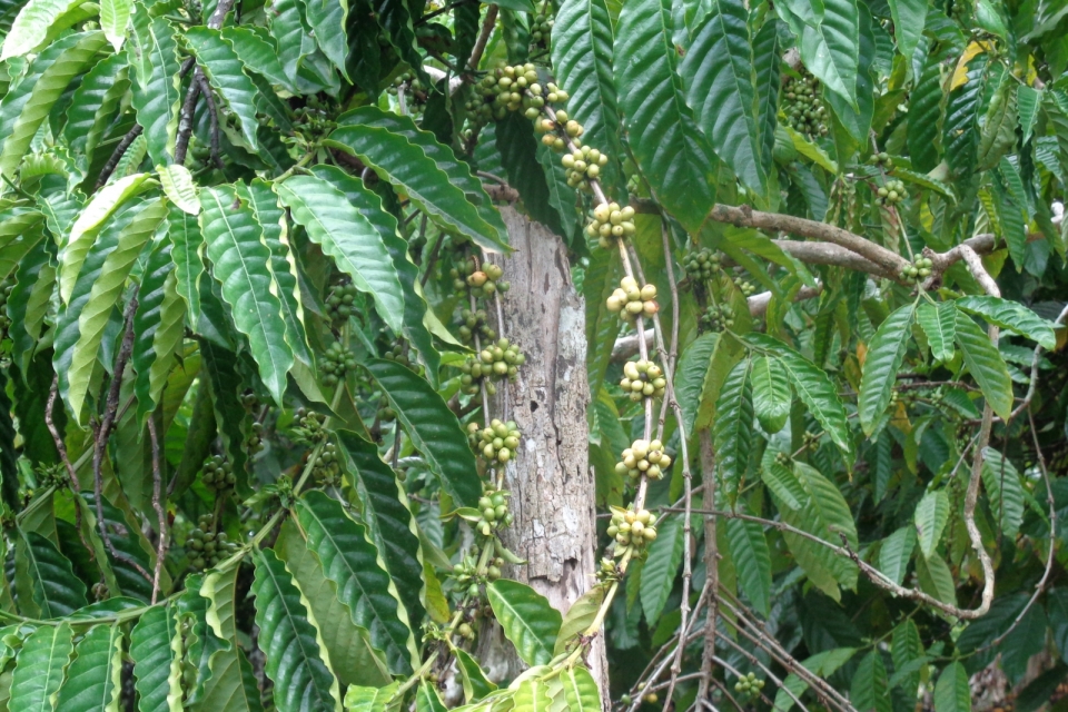DSC00455