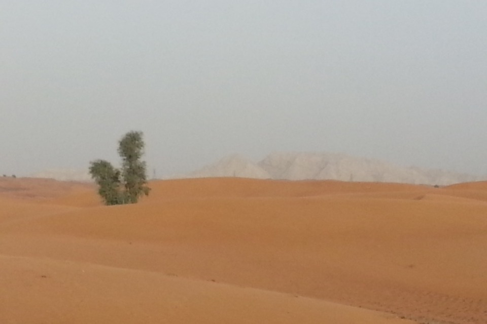 2014-02-18-12.58.50