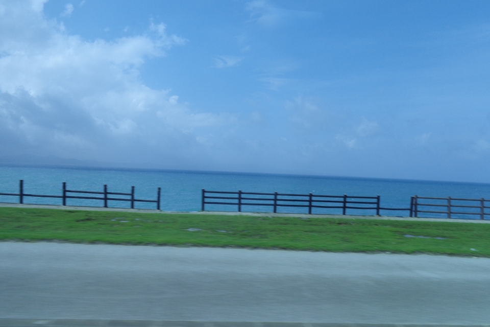 DSC00211