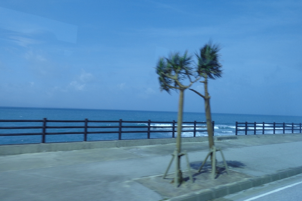 DSC00212