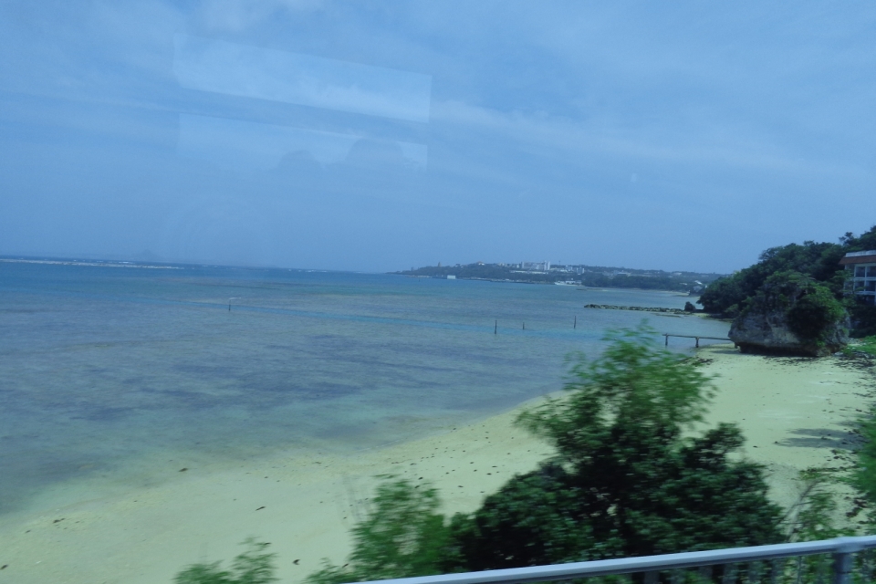 DSC00213