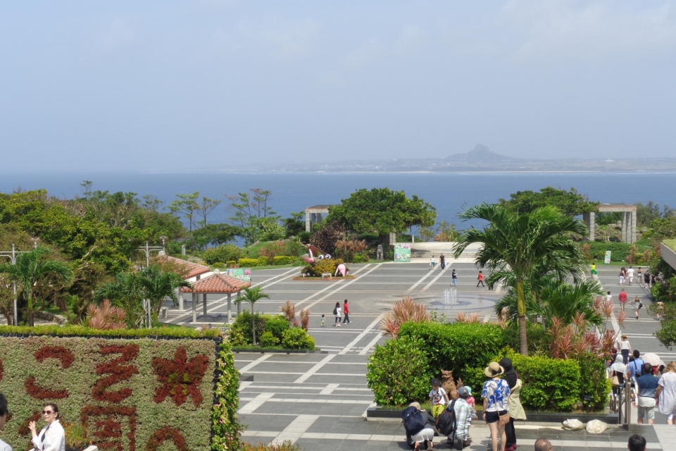 DSC00214