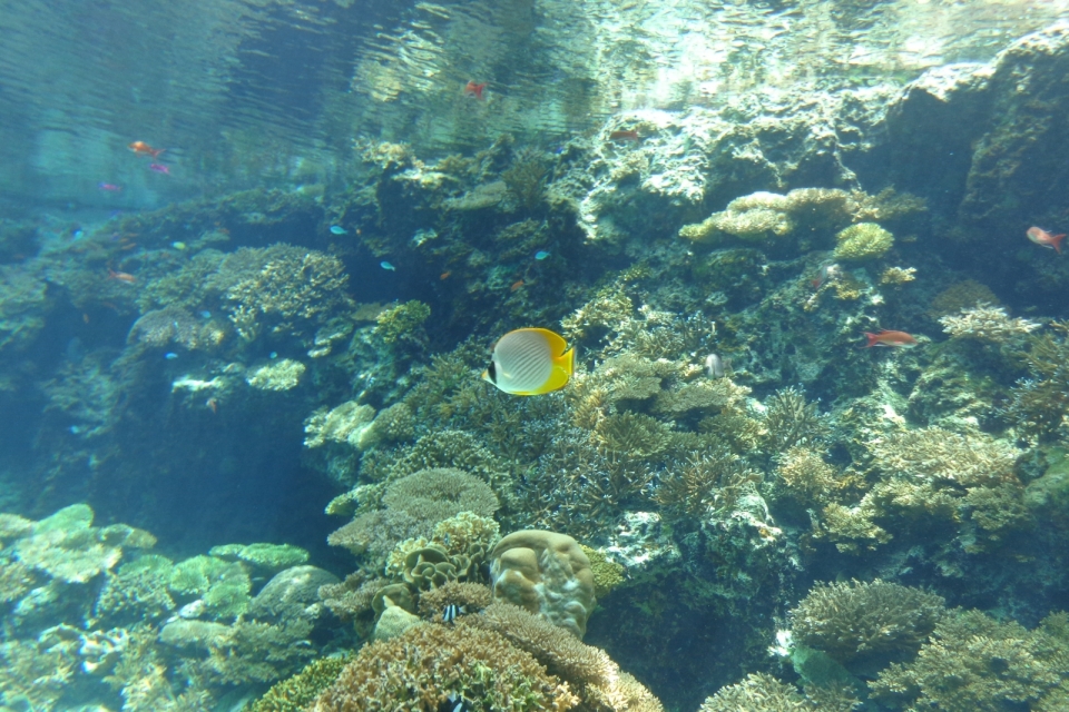 DSC00221