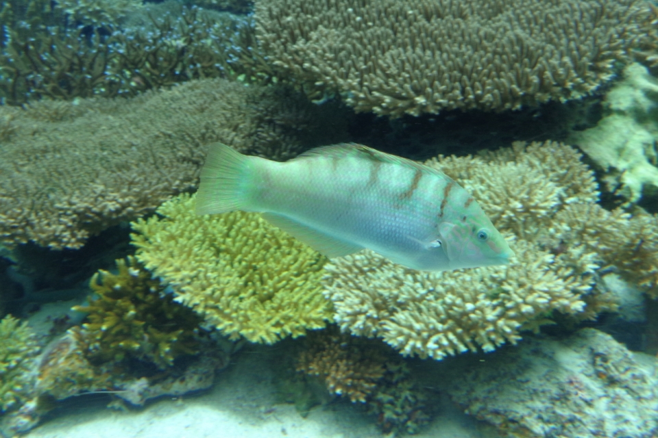 DSC00224