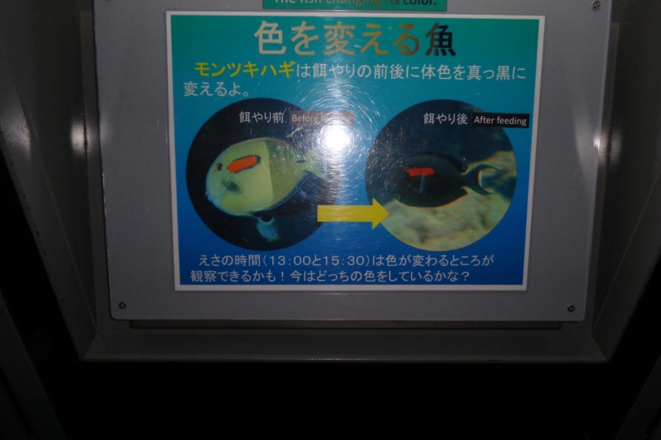 DSC00244