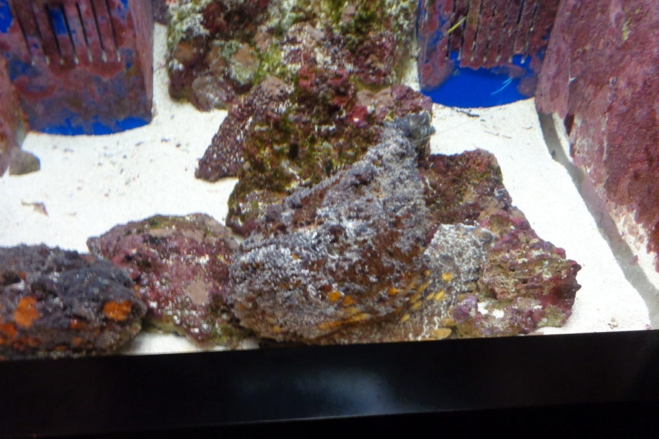 DSC00256
