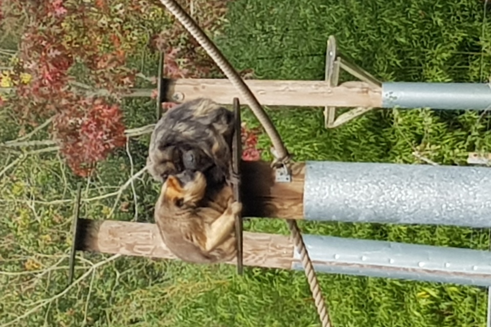 20181023_124912