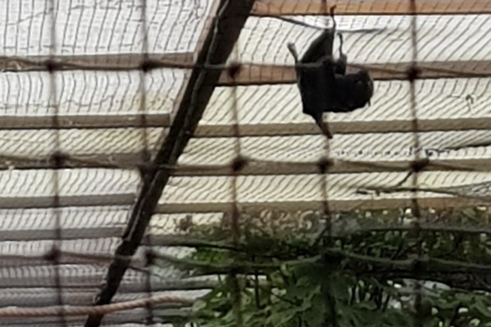 20181023_140738