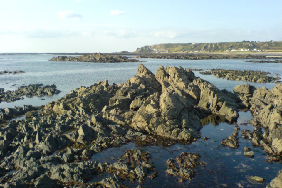 DSC00104