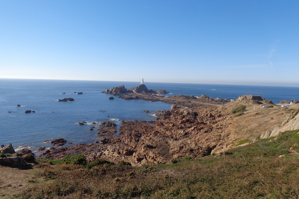 DSC01565