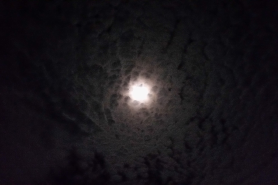 20160819_051931