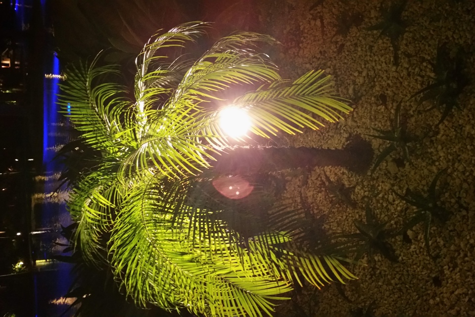 20160820_021404