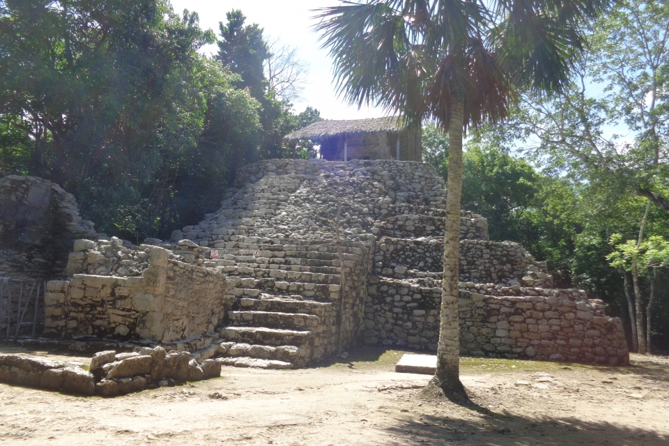 DSC01236