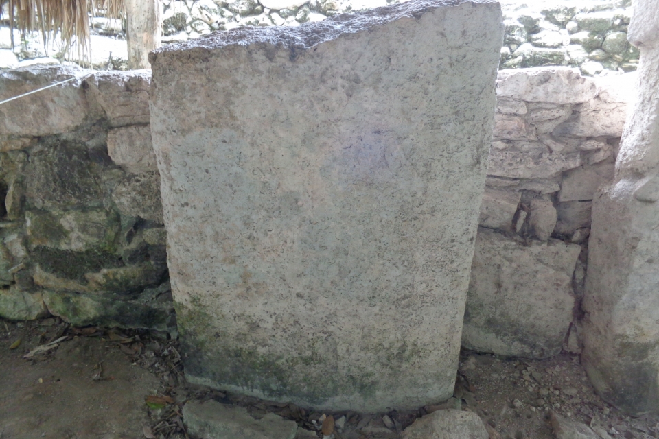 DSC01262