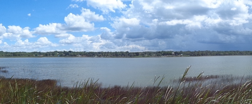 DSC01271