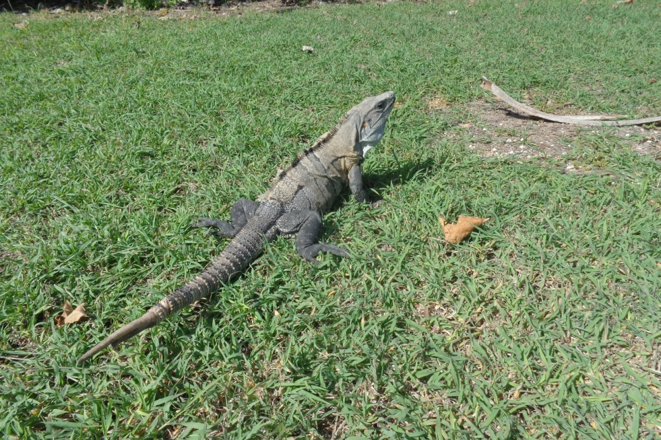 DSC01277