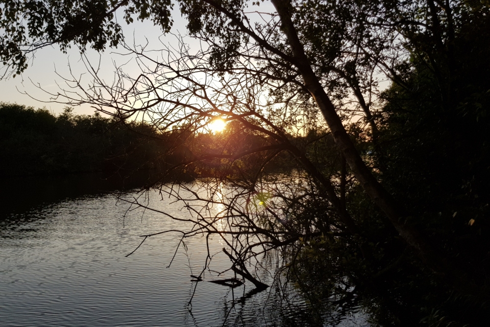 20190817_194010