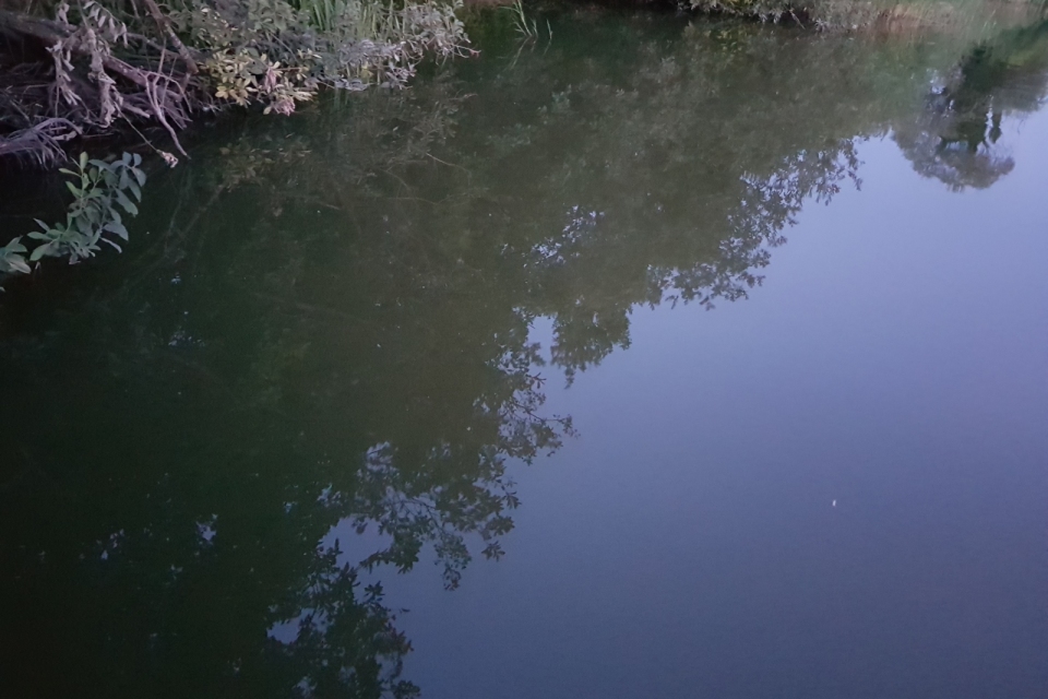 20190817_204130