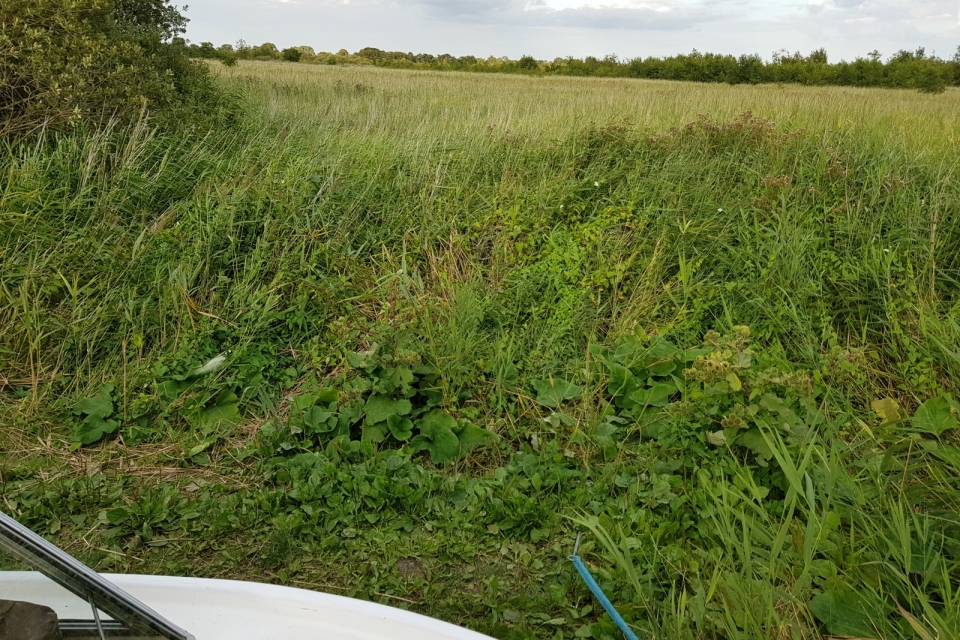 20190820_182822