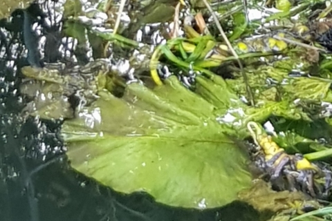 20190823_191359
