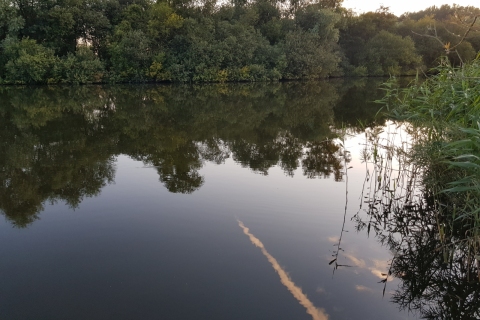 20190823_194655