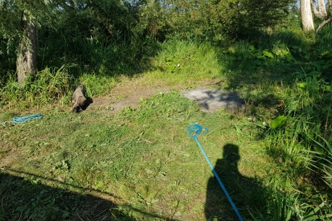 20190826_162715
