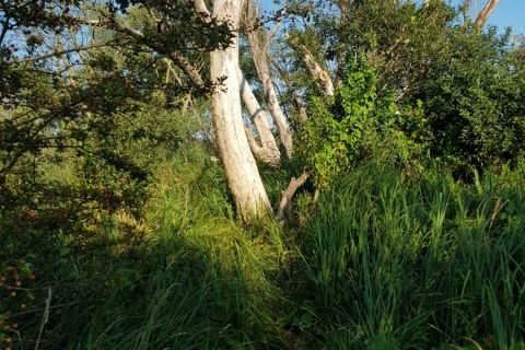 20190826_162742