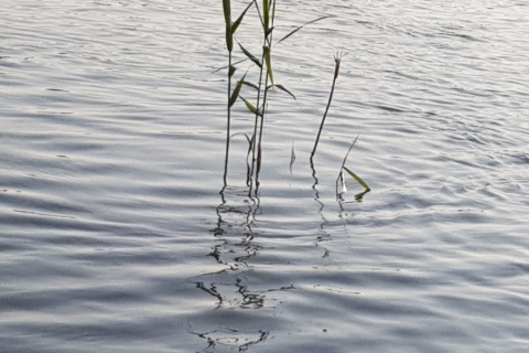 20190826_182225