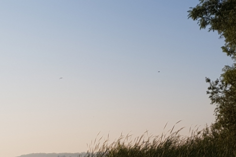 20190826_183852