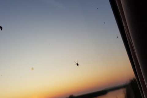 20190826_194528