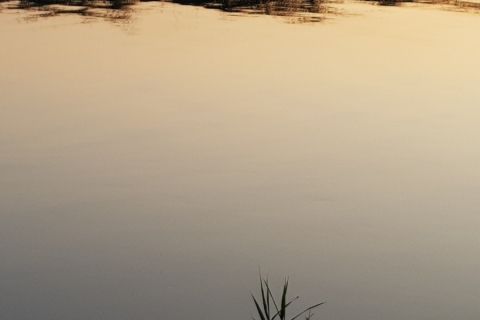 20190826_194654