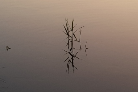 20190826_201126