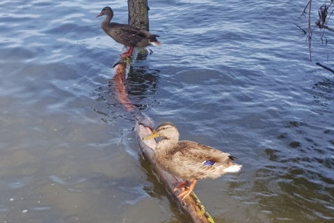 20190829_150422